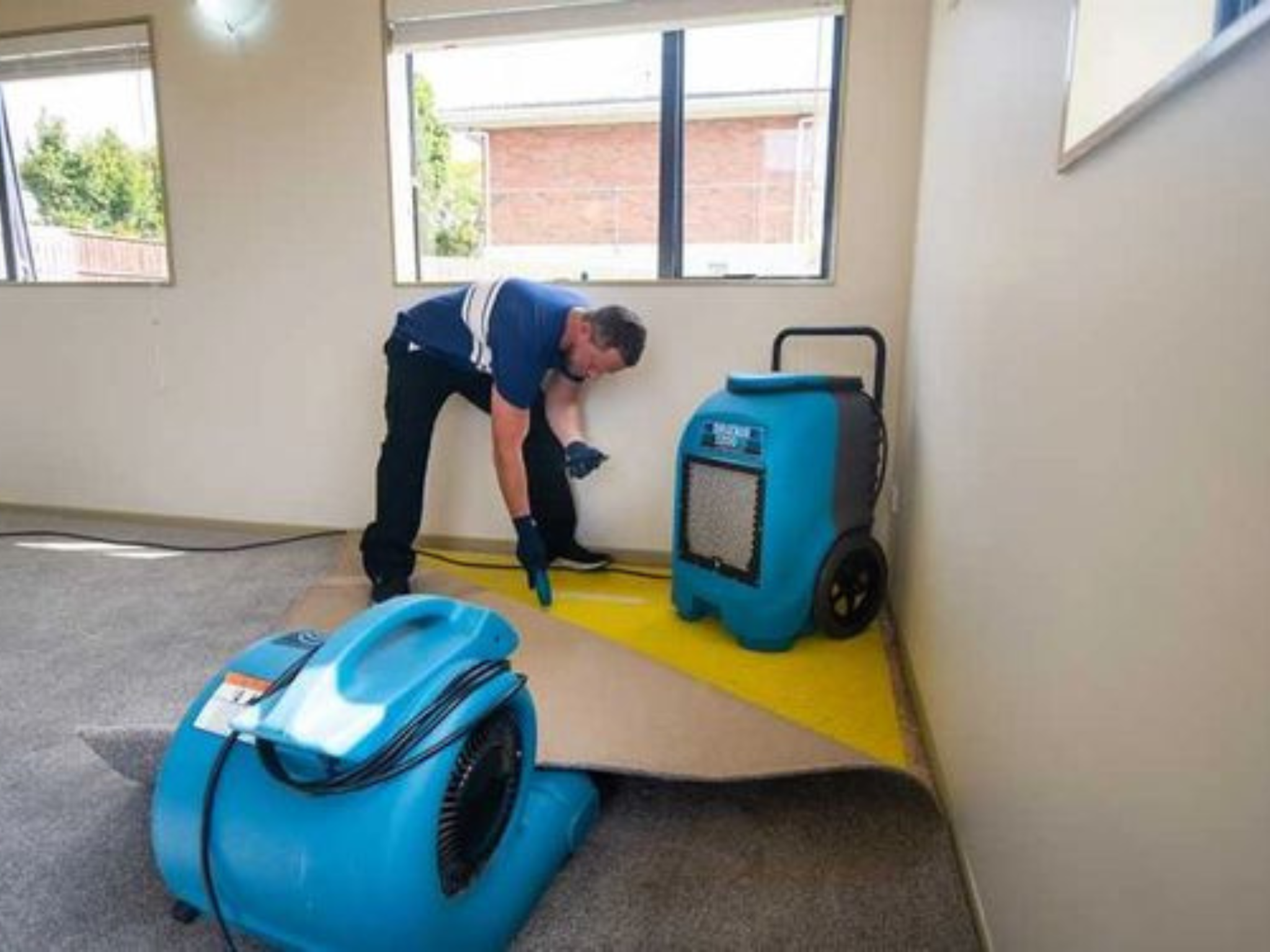 water damage cleanup