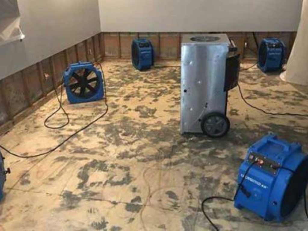water damage cleanup